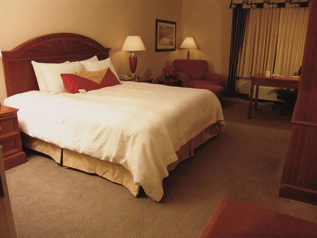 Hilton Garden Inn Mobile East Bay / Daphne Pokoj fotografie